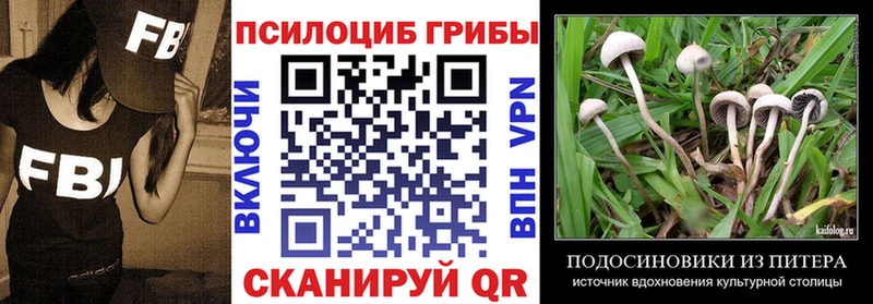 сайты даркнета какой сайт  Верхоянск  Псилоцибиновые грибы GOLDEN TEACHER  ссылка на мегу ссылка 
